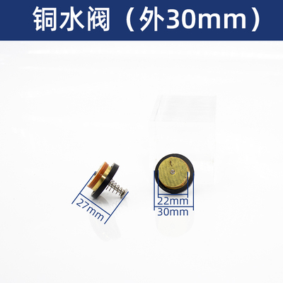 水泵专用止回阀水泵用单向阀底阀增压泵水阀自吸泵螺杆泵配件大全