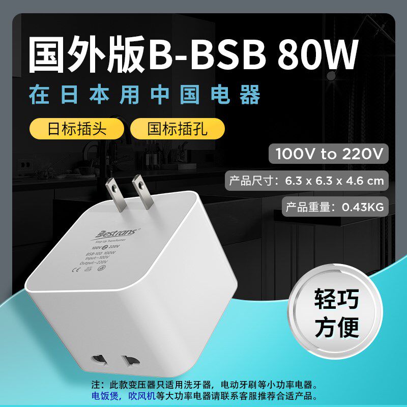 变压器220V转110V100V转220V美国日本加拿大便携小功率电压转换器
