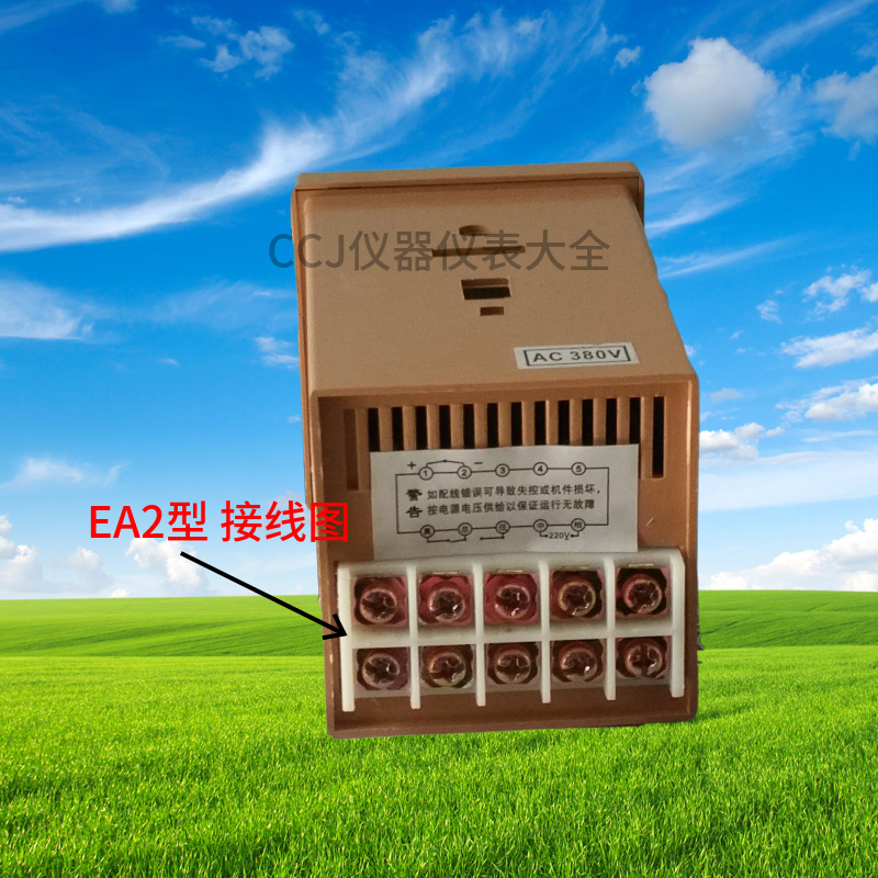 原装TED-2001系列温控仪 EA2/ K 0-300 度 电饼铛 油炸炉