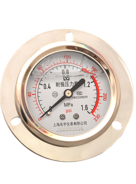 YN60ZT轴向带边耐震压力表0-1.6/2.5/40Mpa水压油压气压液压