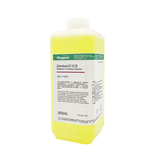 Zamboni固定液 Zambonis Fixative 组织固定液 500mL PHYGENE