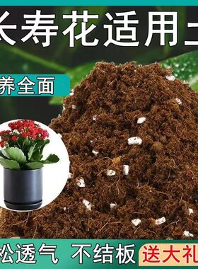 长寿花专用土长寿花营养土通用绿植盆栽土酸性沙质种植泥炭土肥料
