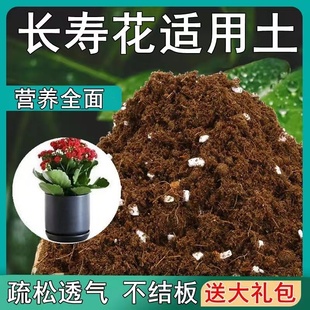 长寿花专用土长寿花营养土通用绿植盆栽土酸性沙质种植泥炭土肥料