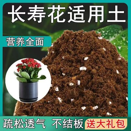 长寿花专用土长寿花营养土通用绿植盆栽土酸性沙质种植泥炭土肥料