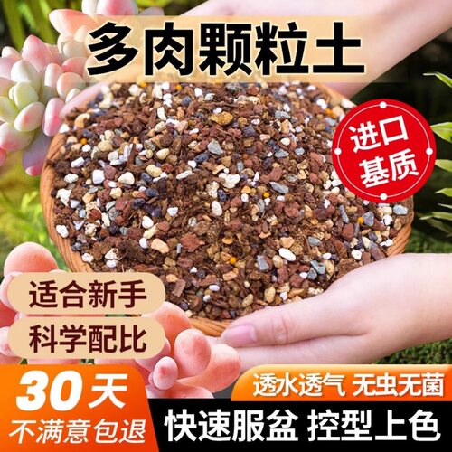 多肉专用营养颗粒土泥炭花土种植室内盆栽通用土壤颗粒铺面石叶插