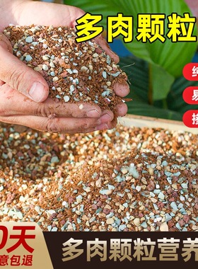 多肉植物营养土进口泥炭土多肉土叶插换盆土多肉专用土纯颗粒铺面