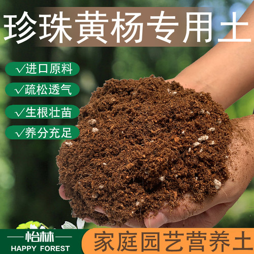 怡马珍珠黄杨专用营养土