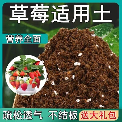 草莓土草莓专用土酸性腐殖土椰糠泥炭土壤盆栽通用绿植营养土花肥