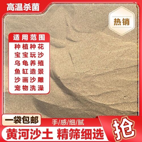 鱼缸造景沙天然河沙水草种植水洗烘干不含泥拌土种植铺面实验用砂
