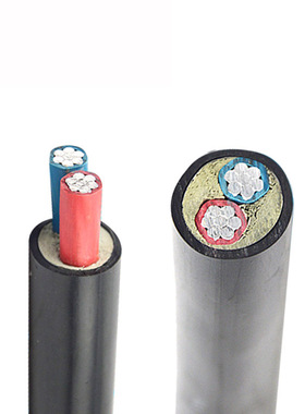 国标纯铝硬2芯ZR-YJLV/VLV2*10/16/25/35平方电线电缆进户线室外