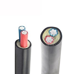 YJLV 35平方電線電纜進(jìn)戶線室外 VLV2 國標(biāo)純鋁硬2芯ZR