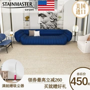 US STAINMASTER phòng ngủ phòng khách thảm tròn nhà phòng đầu giường chăn pad sofa bàn cà phê chăn - Thảm