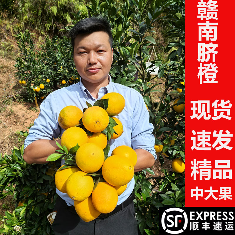 正宗赣州橙子江西特产赣南脐橙新鲜现摘孕妇水果直供超甜大果特级
