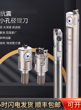 微调镗刀头小孔径锁牙式加工中心可调精镗刀杆搪刀杆套装EWN12SDJ