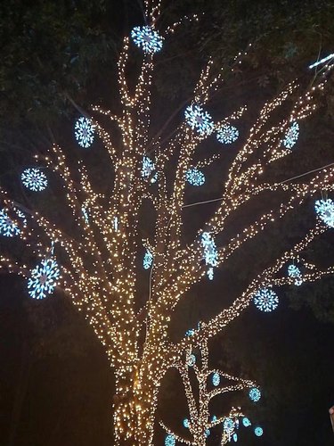 酒吧雪花灯街道亮化节日装饰灯