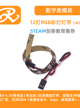 RuilongMaker 12灯彩灯带RGB全彩可编程 可弯曲 适用于mixly编程