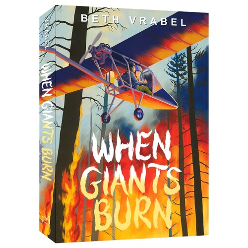 When Giants Burn 青少年飞行员与森林野火 社群与个体 章节小说 英文原版进口儿童图书