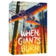 Giants 章节小说 Burn When 青少年飞行员与森林野火 社群与个体 英文原版 进口儿童图书