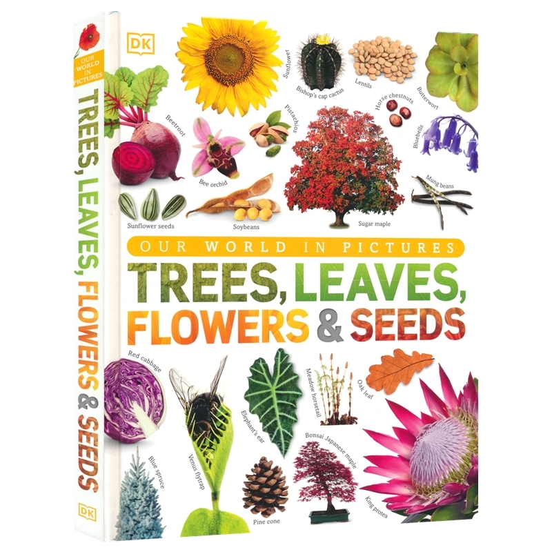 DK Our World in Pictures Trees Leaves Flowers Seeds 我们的世界 图鉴百科 树叶 花 种子 奇妙植物 6-9岁 少儿百科 英文原版