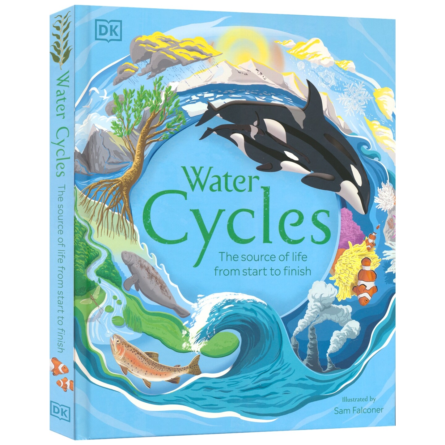 DK Water Cycles 水循环 水知识 儿童百科图解指南 大自然地理动植物科普 精装 英文原版进口图书