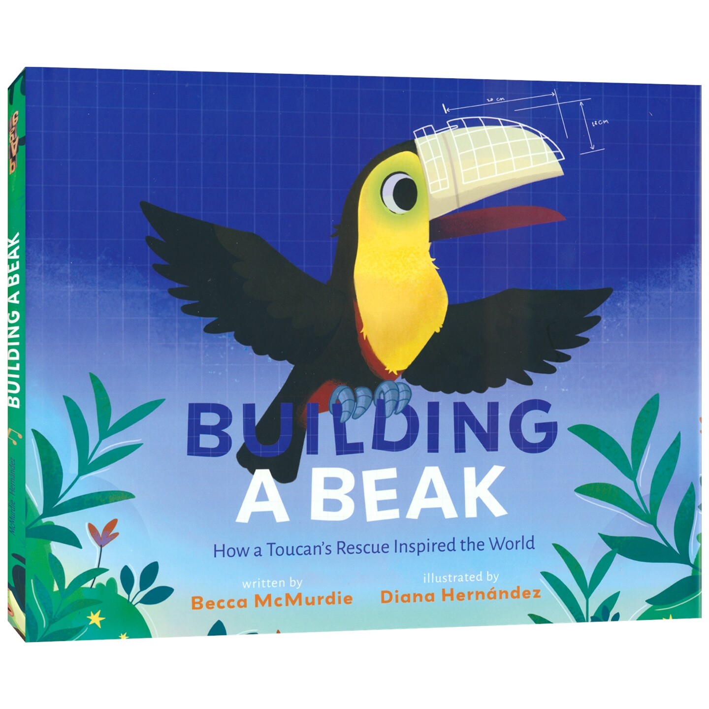 Building a Beak How a Toucan's Rescue Inspired the World 鸟喙重生 一只巨嘴鸟如何感动世界 故事绘本 英文原版进口儿童图书