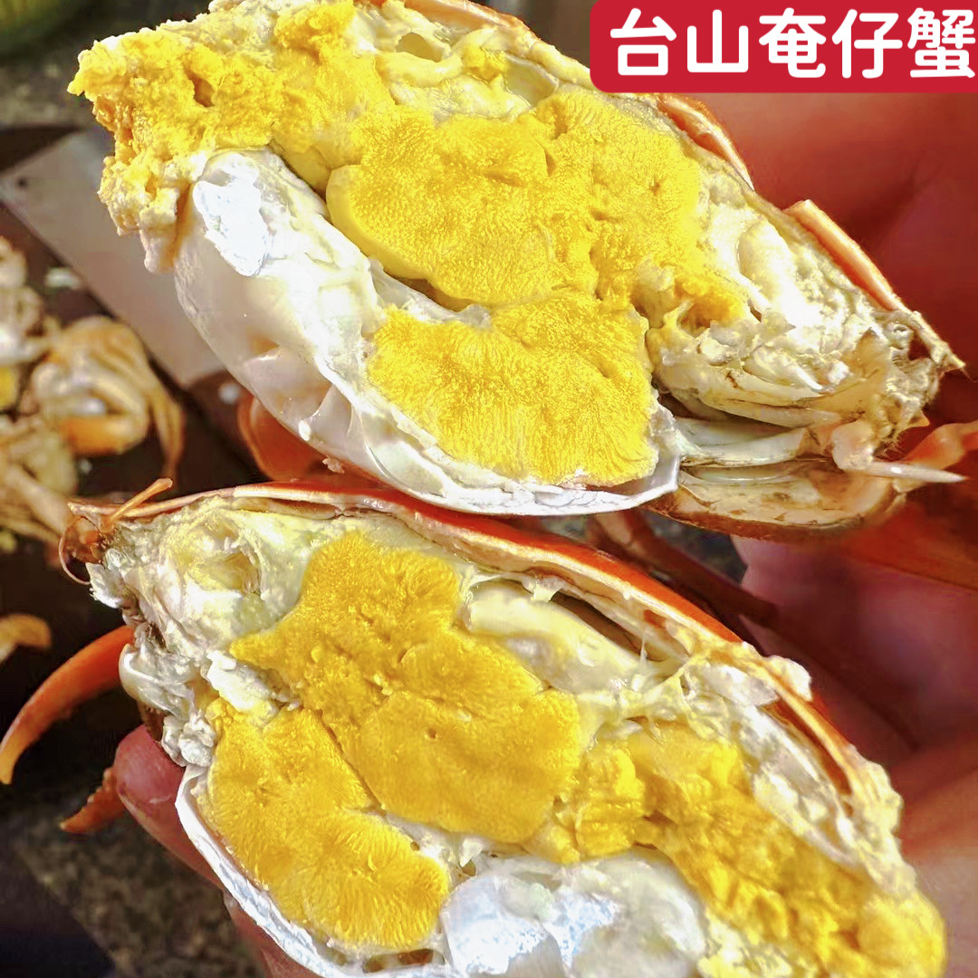 台山青蟹超大海蟹鲜活特大母蟹处女蟹2斤约5-7只奄仔蟹产地直发