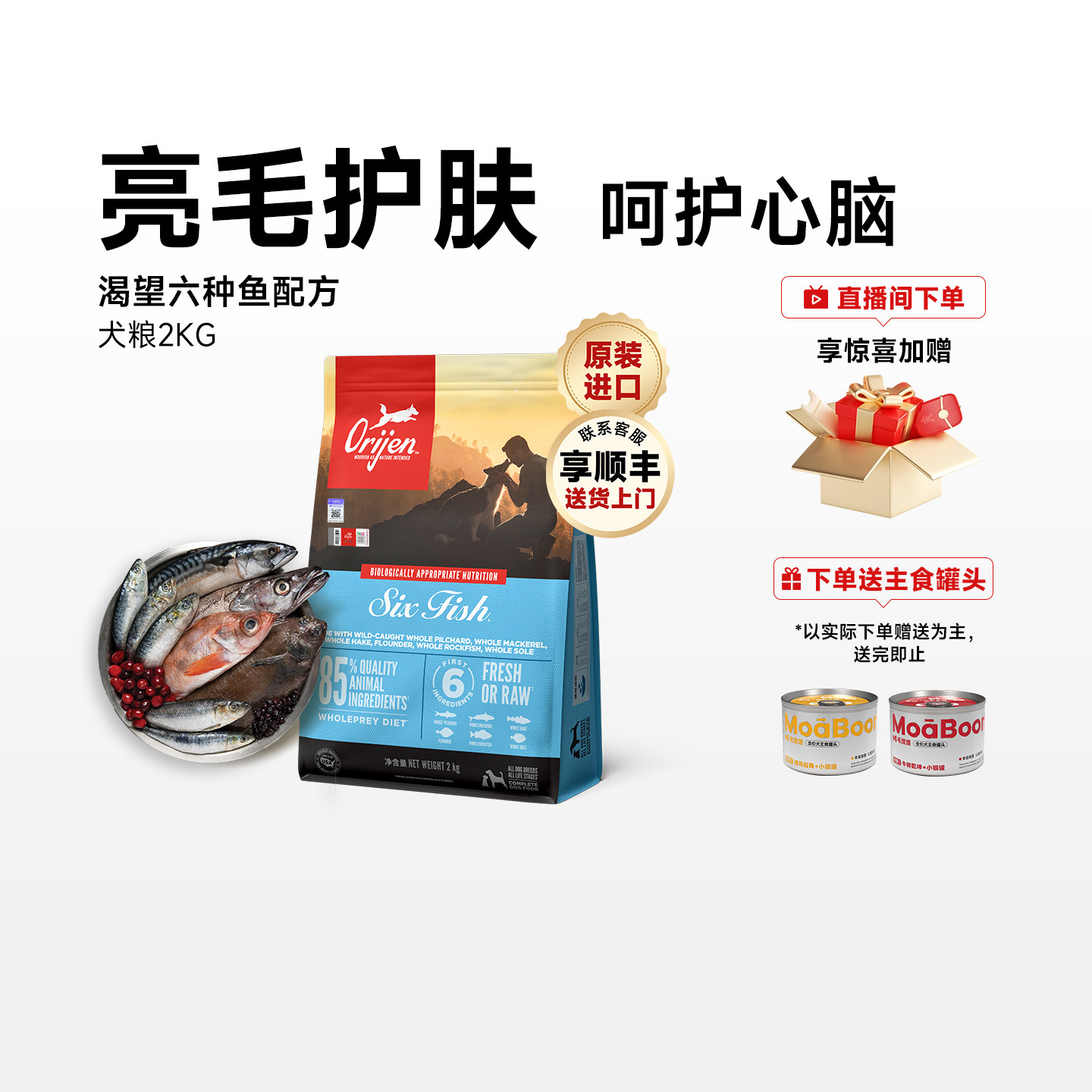 狗粮克烈是什么意思？这个网络词到底指什么狗和哪种喂食问题