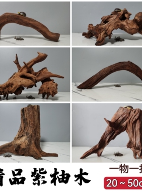 淡水笔记50CM以内沉木鱼缸造景天然拱桥树桩乌龟晒台紫柚木免煮