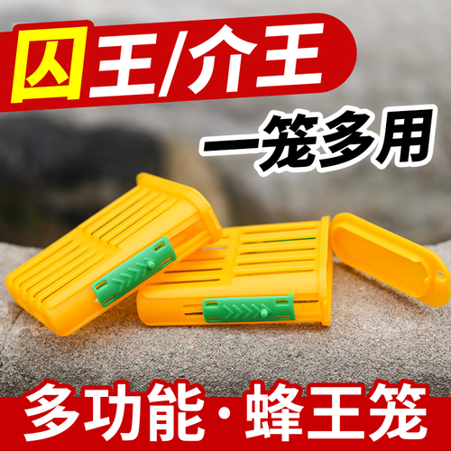 多功能囚王笼塑料防逃工具中意蜂专用介王笼装蜂王储王器隔王工具