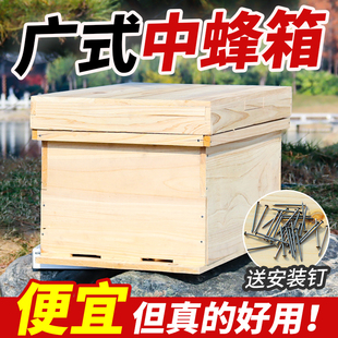 新款 1.1厚七框标准杉木烘干蜂箱全套中蜂用蜜蜂箱批发蜂大哥 广式