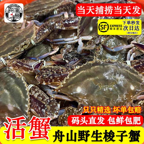 野生舟山梭子蟹公蟹顺丰包邮保肥