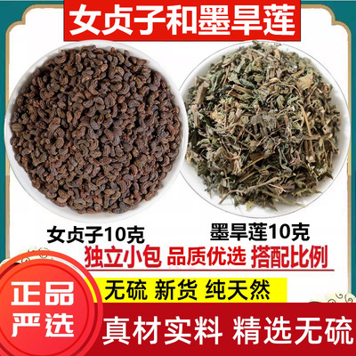 女贞子和墨旱莲养发乌发组合野生的女贞子墨旱莲各10克泡茶喝正品