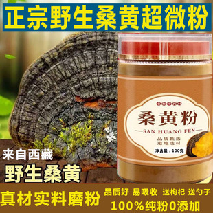 桑黄粉西藏正品特级野生官方旗舰店的功效与作用超细粉两瓶送礼盒