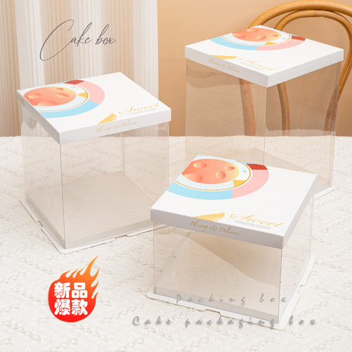 厂家直销透明蛋糕盒4 6 8 10 12 14寸手提双层加高烘焙包装盒定制
