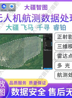 航测代跑图/无人机跑图/大疆智图代跑正射影像/代跑三维模型
