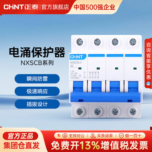 正泰NXSCB-II后备电涌保护器专用装置40KA60KA浪涌前置断路器4P2P