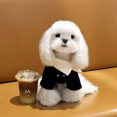 马尔济斯超小体狗狗衣服卫衣打底幼犬秋冬天季装比熊约克夏小型犬