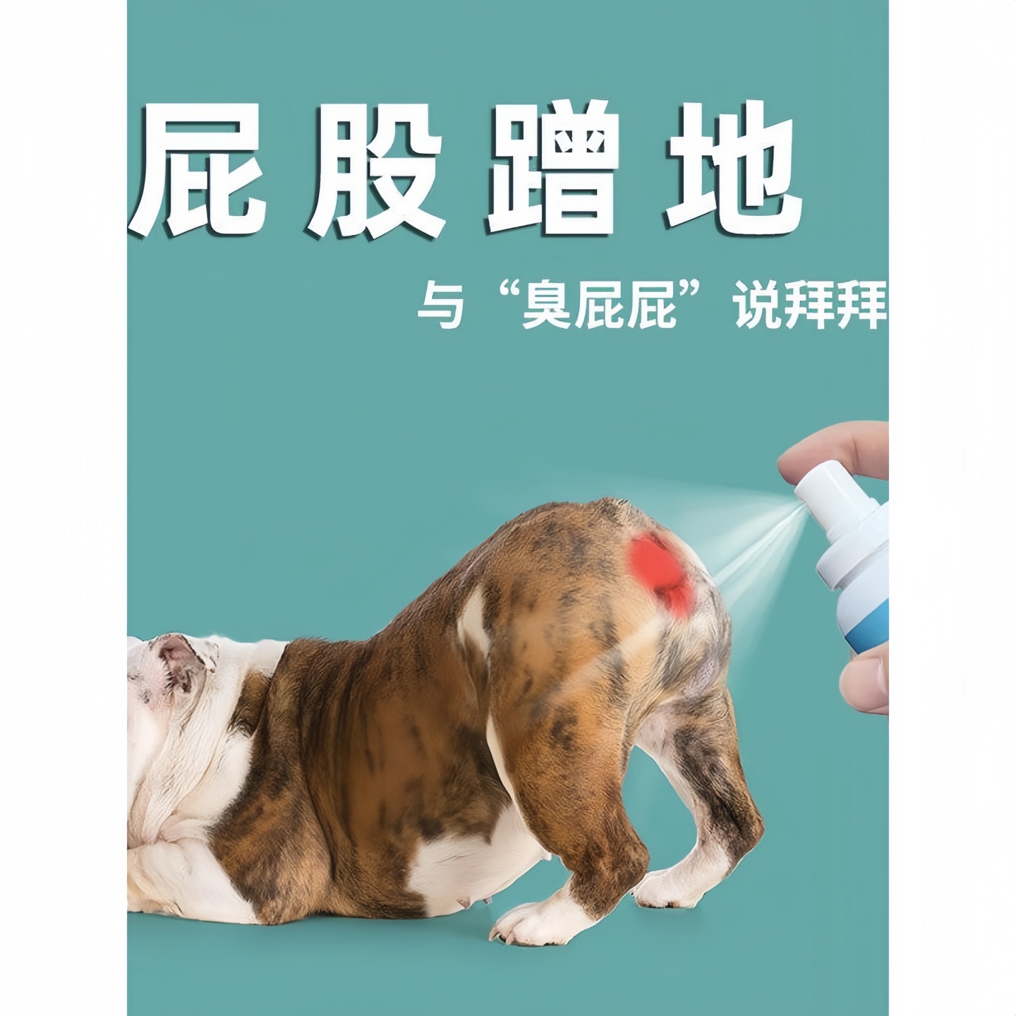 宠物肛门腺除臭喷雾狗狗蹭屁股喷剂清洁磨地板去味约克夏马尔济斯