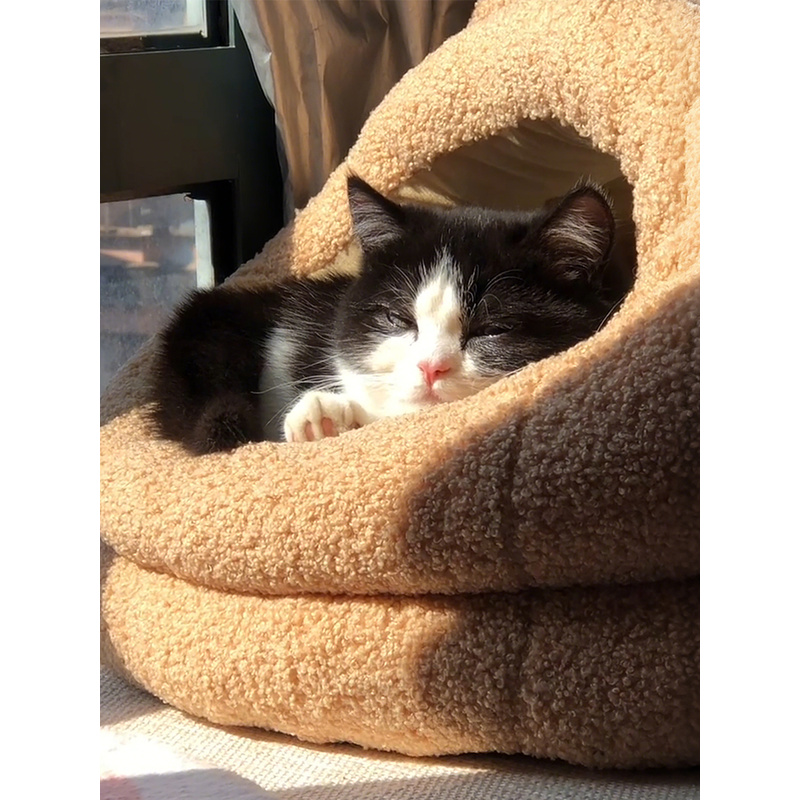 小熊猫窝封闭式安全感秋天冬季睡觉保暖加厚包裹式猫床宠物狗沙发