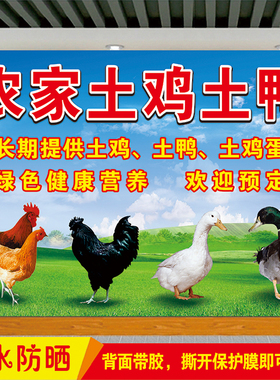 生鲜招牌散养土鸡土鸭鹅广告贴纸