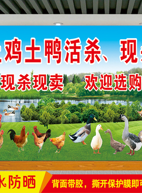 出售散养土鸡土鸭活杀现杀墙贴画