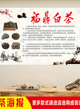 茶叶店福鼎老白茶品种功效寿眉贡眉茶道文化宣传装饰图贴背胶海报