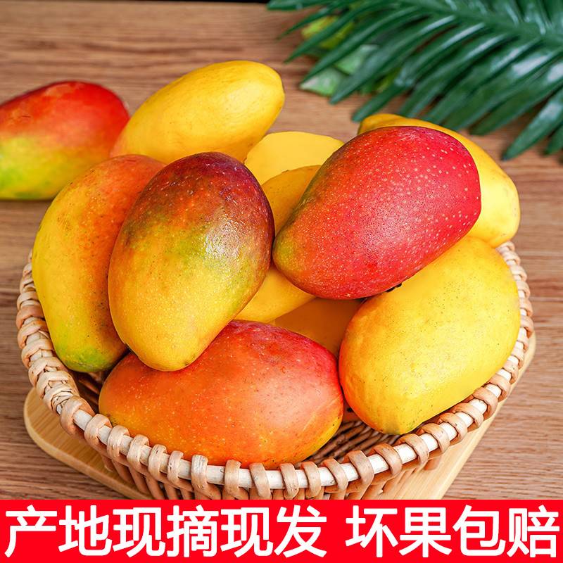 海南贵妃芒 9斤芒果树上熟大芒果新鲜应季热带现摘水果整箱包邮10