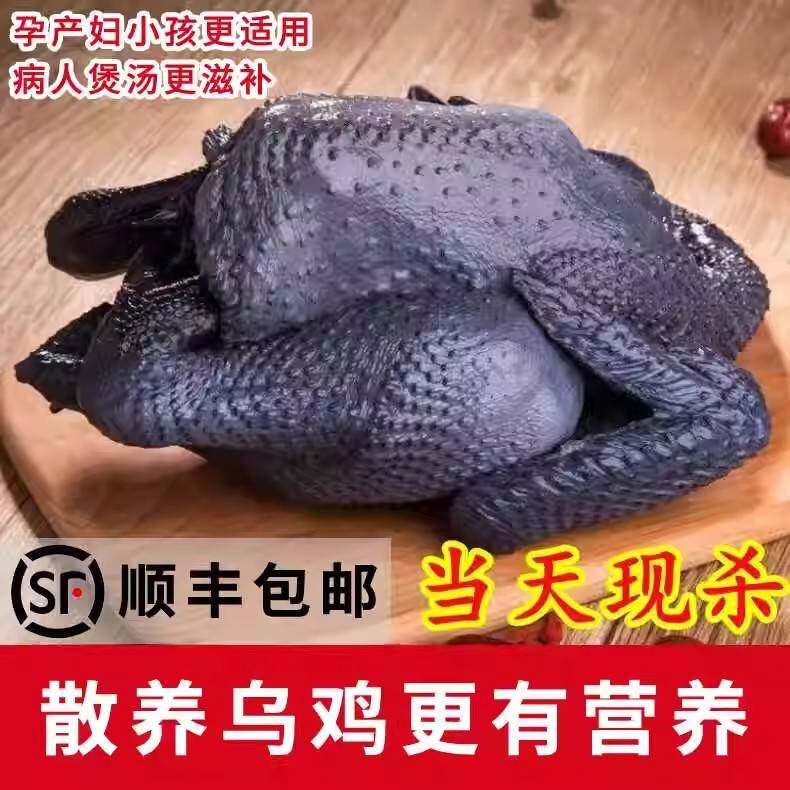 乌骨鸡新鲜现杀正宗农家散养土鸡整鸡/整鸡制品