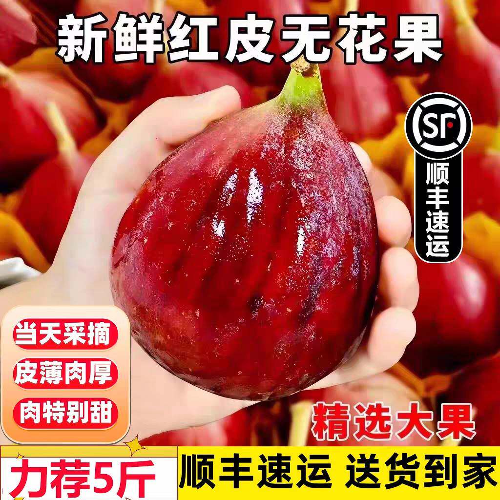 【顺丰直达】云南无花果新鲜现摘无花果
