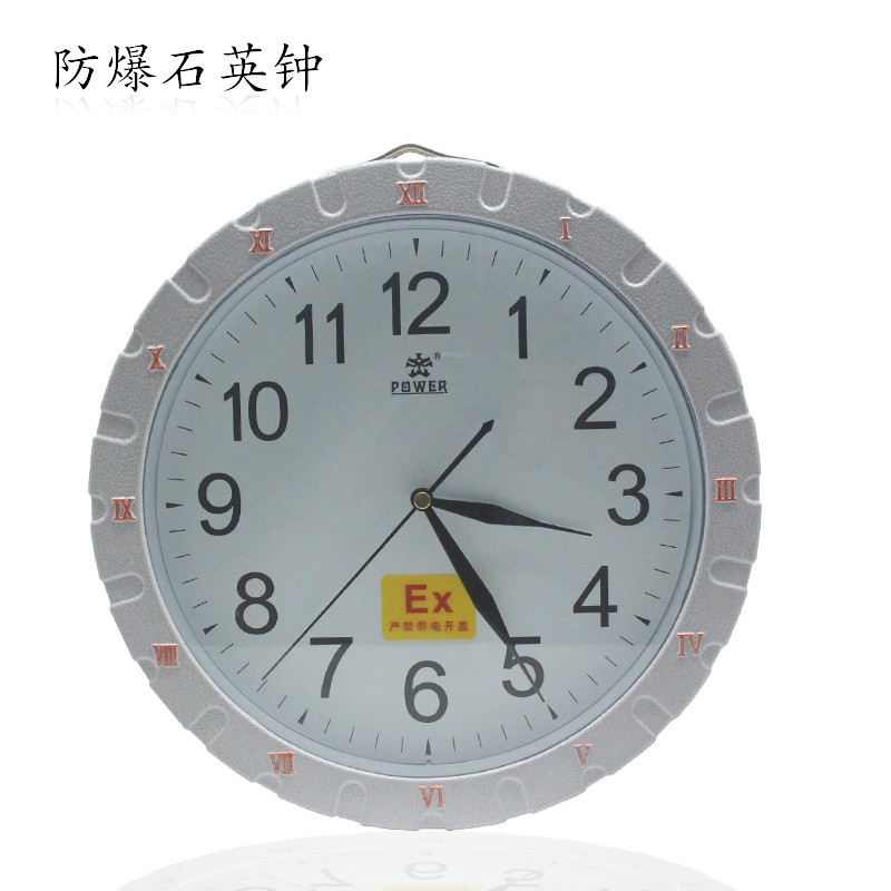 新款防爆石英钟  BSZ系列-方形 圆形 防爆定时钟 时针钟 数字包邮