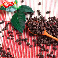 Yinong High-temperature Resistant Roasted Cocoa Bean Chocolate Chips for baking Raw materials in bulk 1KG(substitute for cocoa butter) thumbnail 5