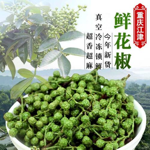【真空打包】江津鲜青花椒重庆花椒山东发货农家鲜摘花椒商用家用