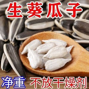 新货葵花子原味现炒瓜子大颗粒新鲜葵花籽休闲零食批发休闲零食