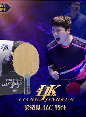 航天LOKI雷神梁靖崑内置ADC特注外置ALC专业碳素乒乓球底板球拍
